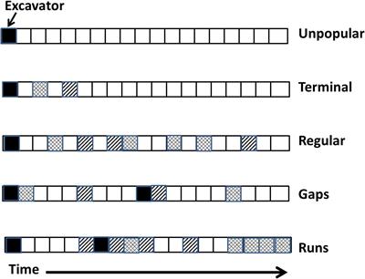 Gaps and Runs in Nest Cavity Occupancy: Cavity “Destroyers” and “Cleaners” Affect Reuse by Secondary Cavity Nesting Vertebrates